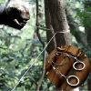 Emergency Survival Gear Steel Wire Saw