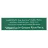 Real Aloe - Aloe Vera Gel - Tube - 6.8 oz