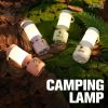 LED Camping Decorative Ambient Light