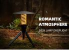 Portable Outdoor Camping Light with Tripod Stand