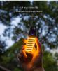 Portable Outdoor Camping Light with Tripod Stand